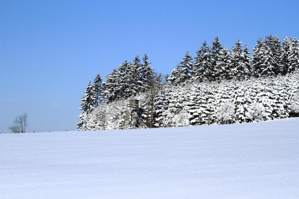 Hotel Schneider Winterberg Eksteriør bilde